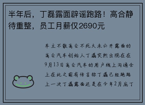 半年后，丁磊露面辟谣跑路！高合静待重整，员工月薪仅2690元