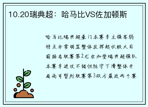10.20瑞典超：哈马比VS佐加顿斯